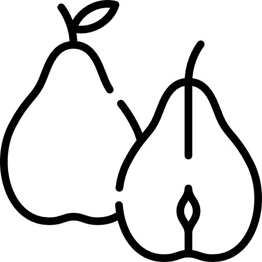 Pear diet food fruit icon