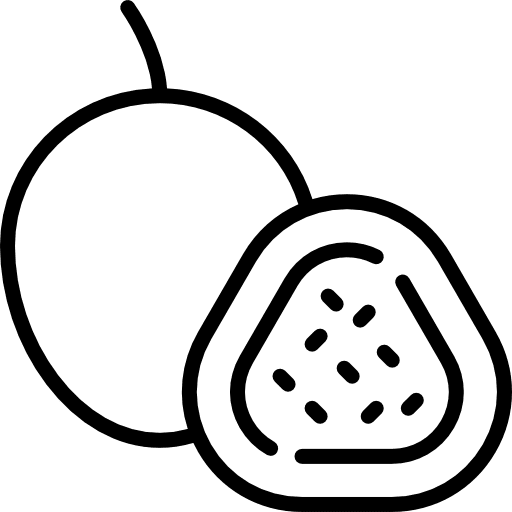 Passion fruit food fruit healthy icon