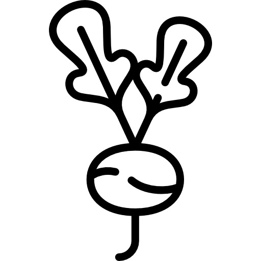 Radish radish food and restaurant healthy food icon