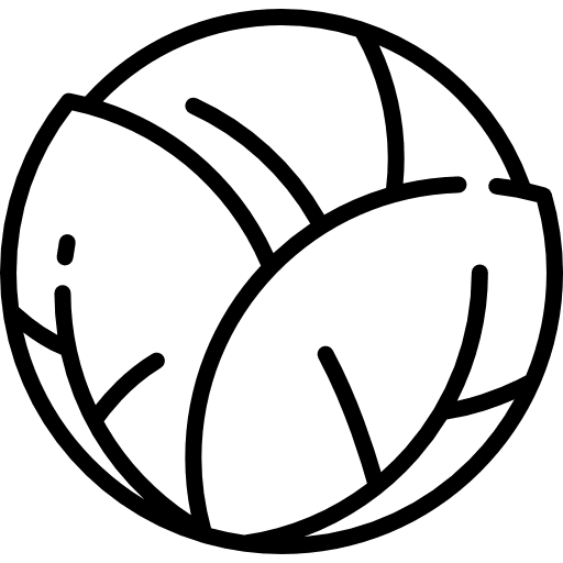 Cabbage organic cabbage food and restaurant icon