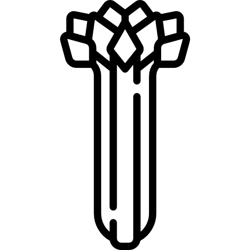 Celery food and restaurant celery vegetable icon