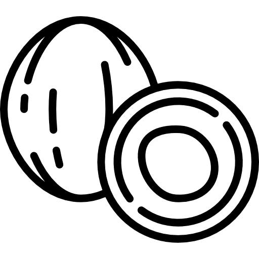 Coconut food organic coconut icon