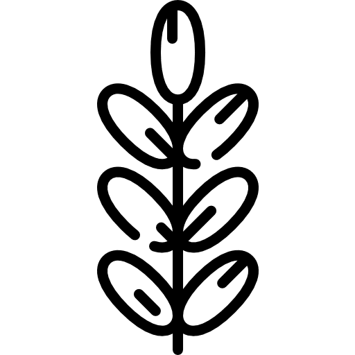 Date date healthy food food and restaurant icon