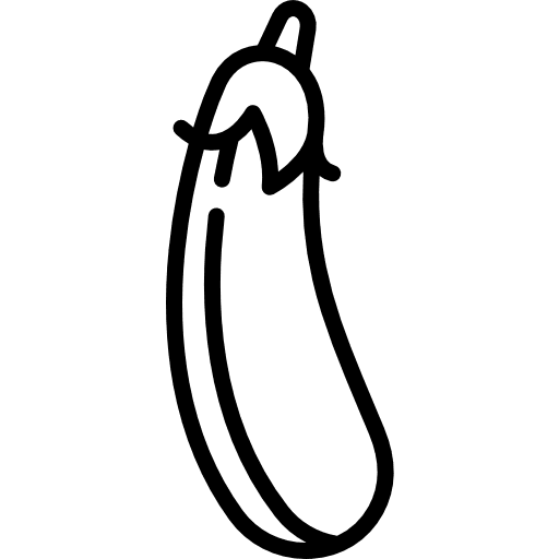 Eggplant aubergine diet vegetarian icon