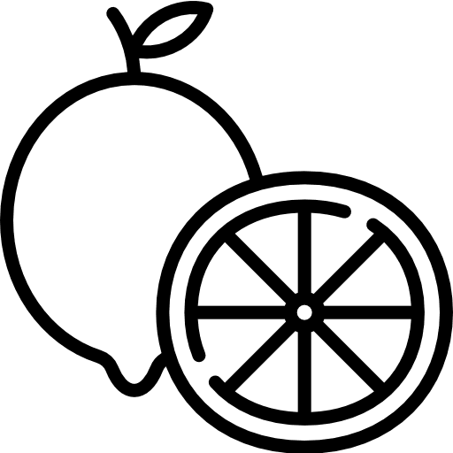 Lemon organic vegan citrus icon