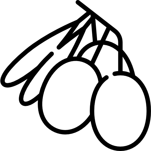 Olives healthy food olives oil icon