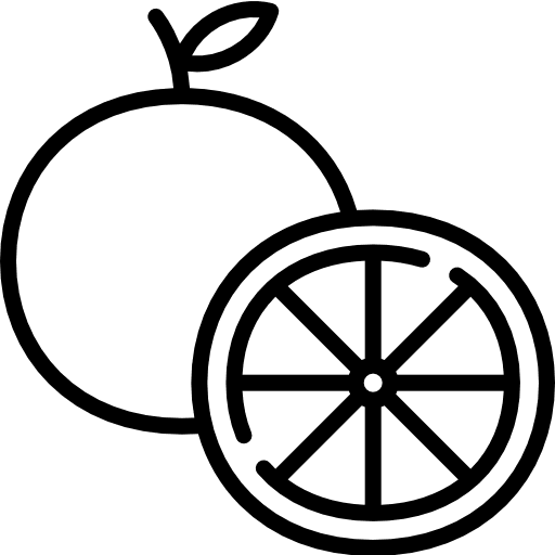 Orange vegan vegetarian orange icon