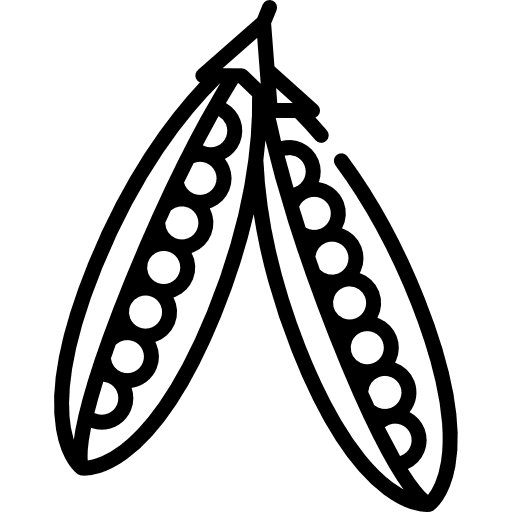 Peas organic peas food and restaurant icon