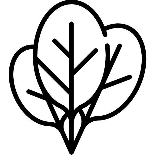 Spinach food food and restaurant vegetable icon