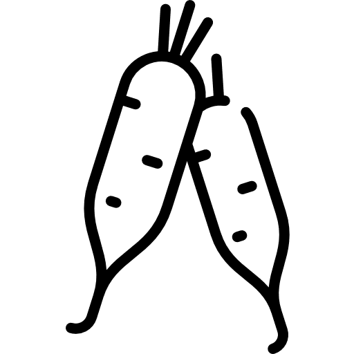 Turnip turnip food organic icon