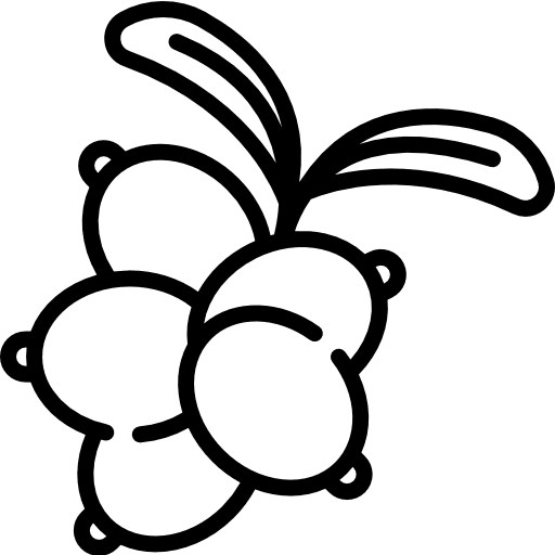 Berries fruit berries bouquet icon