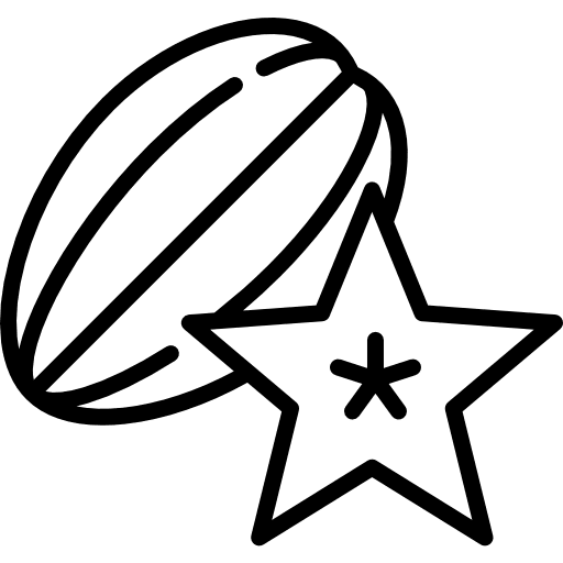 Carambola food vegetarian diet icon