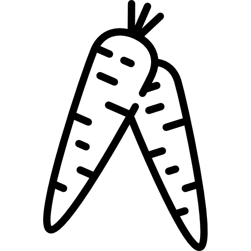 Carrot carrot diet vegetarian icon