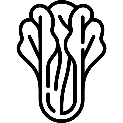 Lettuce food and restaurant vegan vegetable icon