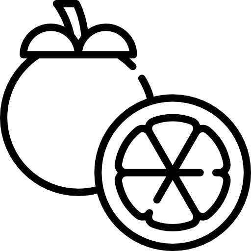 Mangosteen healthy food food fruit icon