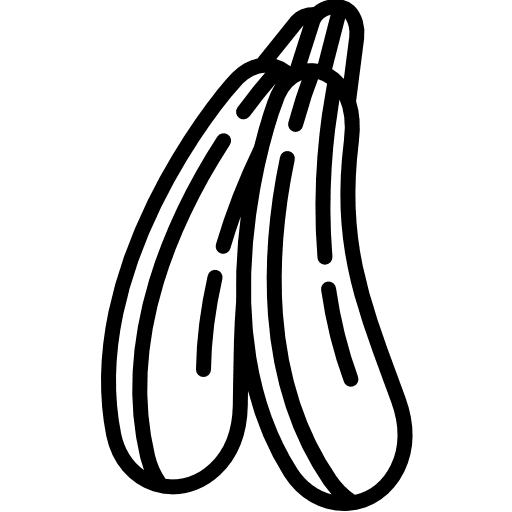 Zucchini food diet healthy food icon