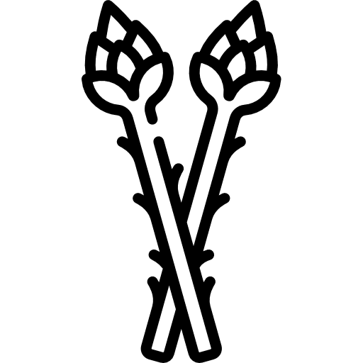 Asparagus cook asparagus food and restaurant icon