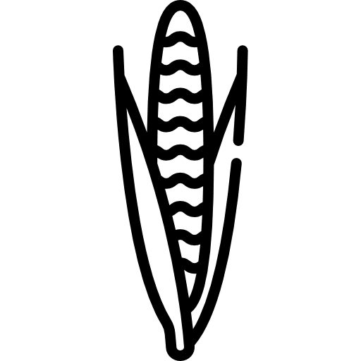 Corn corn diet food and restaurant icon