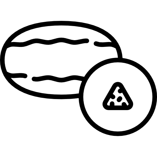 Melon food and restaurant healthy food vegan icon