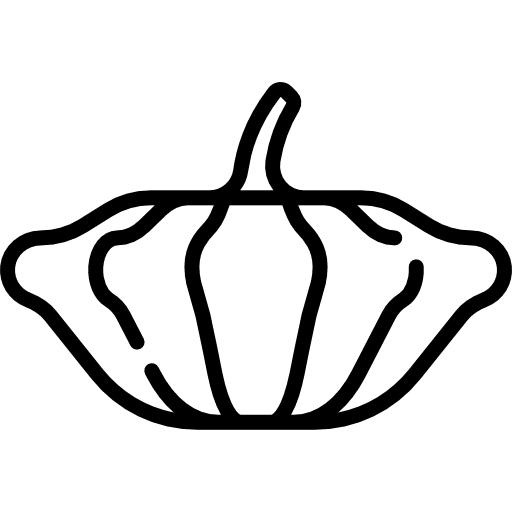 Pumpkin food vegetarian diet icon