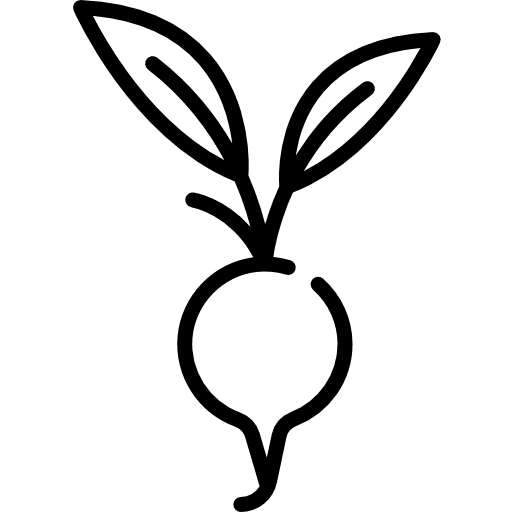 Radish food organic food and restaurant icon