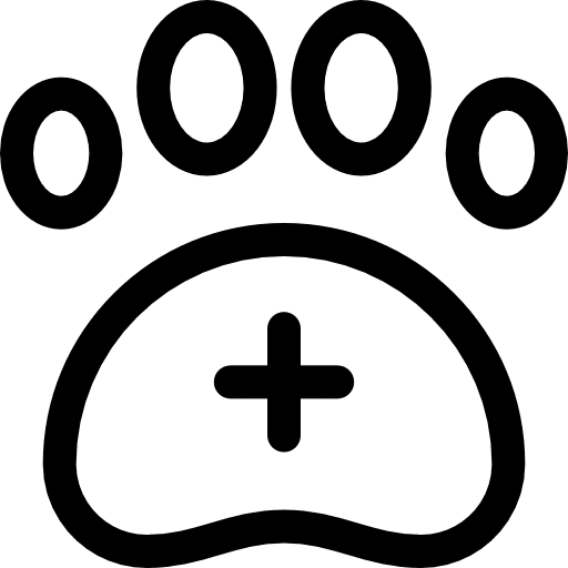 Veterinary animals pets cat icon Veterinary animals pets cat icon