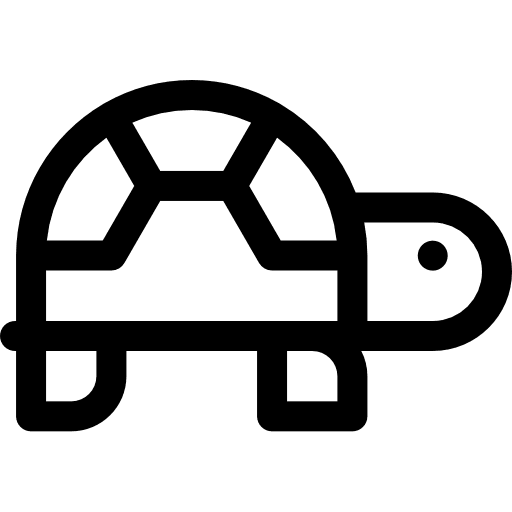 Turtle pet turtle animal icon Turtle pet turtle animal icon