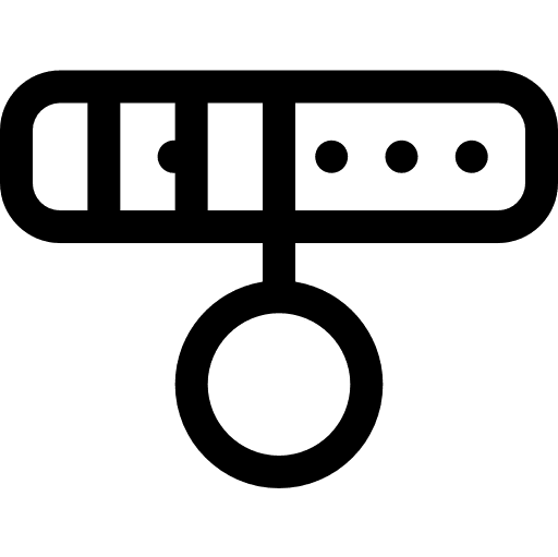 Collar dogs pet walking the dog icon Collar dogs pet walking the dog icon