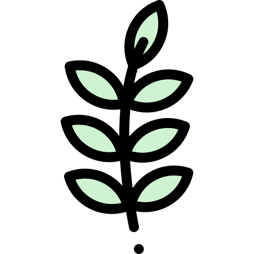 Olive branch nature botanical icon Olive branch nature botanical icon