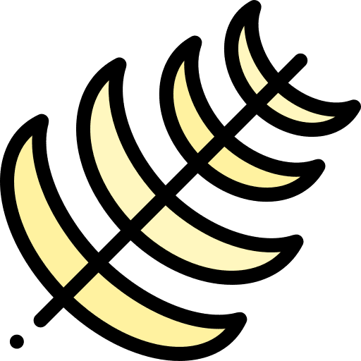 Palm leaves nature leaf icon Palm leaves nature leaf icon