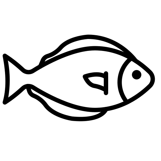 Fish animal fish animals icon