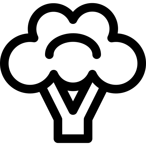 Broccoli vegan vegetable broccoli icon Broccoli vegan vegetable broccoli icon