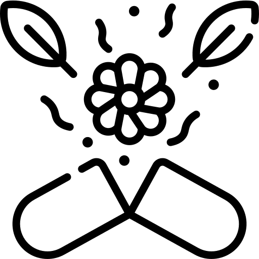 Heal healthcare and medical pill heal icon