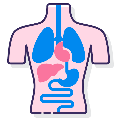 Anatomy healthcare and medical health medical icon