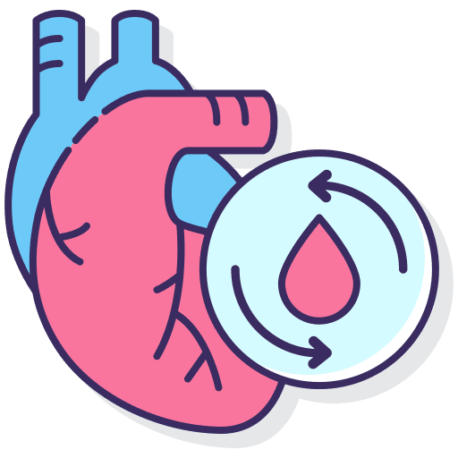 Circulatory system organ body parts circulatory system icon