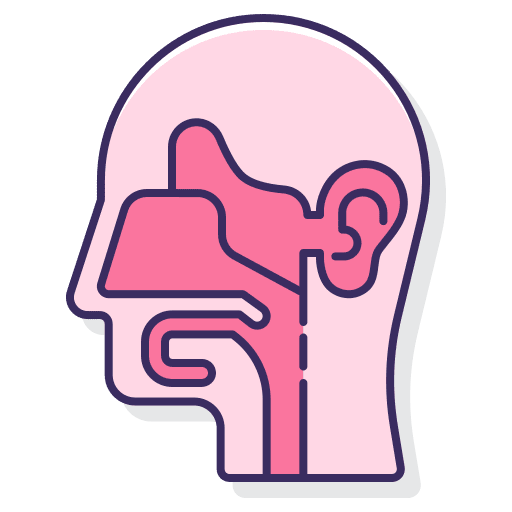 Head anatomy nose head icon