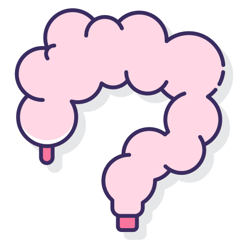 Intestine intestine medical small intestine icon