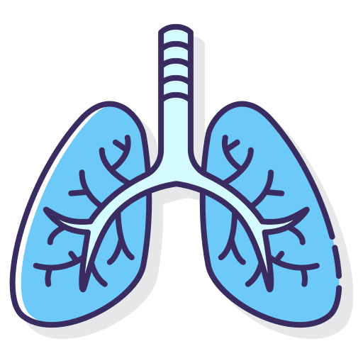Lungs organ physiology medical icon