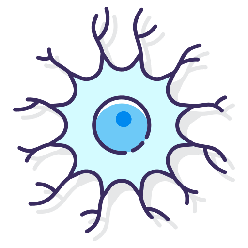 Neuron anatomy brain body icon