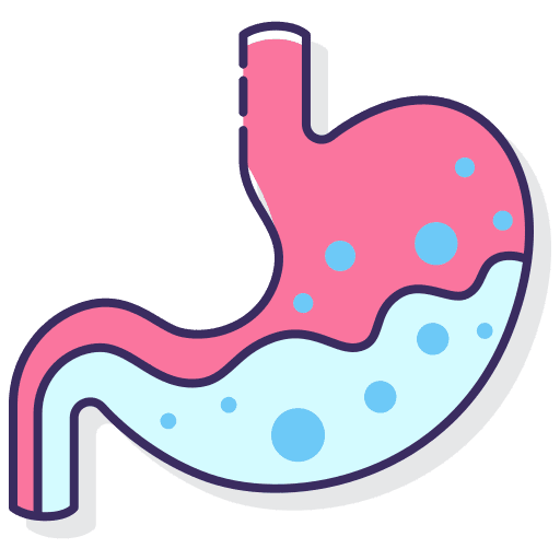 Stomach health anatomy acid icon