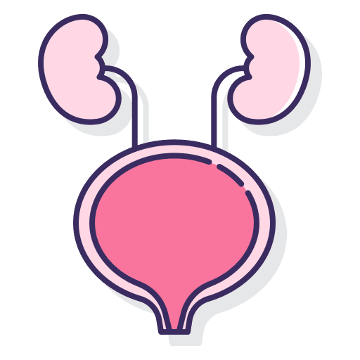 Urinary tract healthcare and medical healthcare urology icon