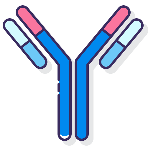 Antibodies cells anatomy immune icon
