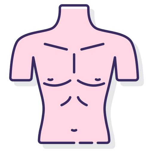 Chest chest healthcare medical icon