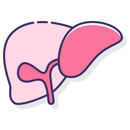 Liver healthcare anatomy healthcare and medical icon