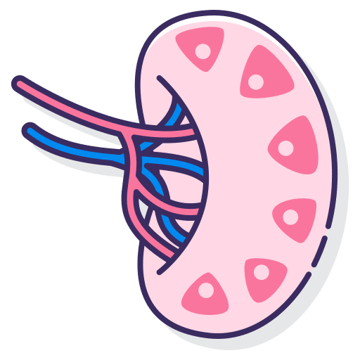 Lymphatic vessel spleen immune system lymph nodes icon