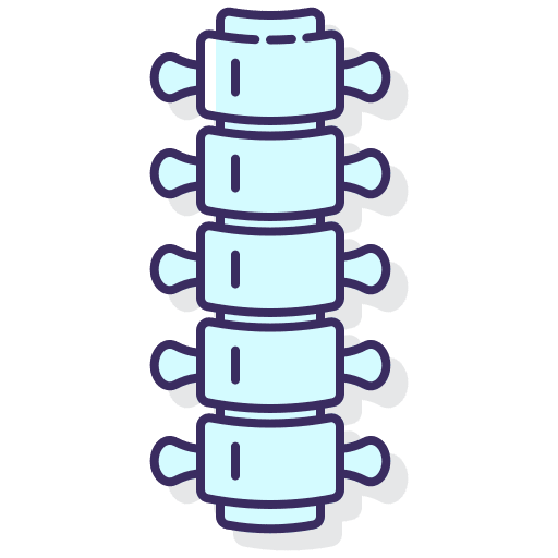 Spine backbone spines human icon