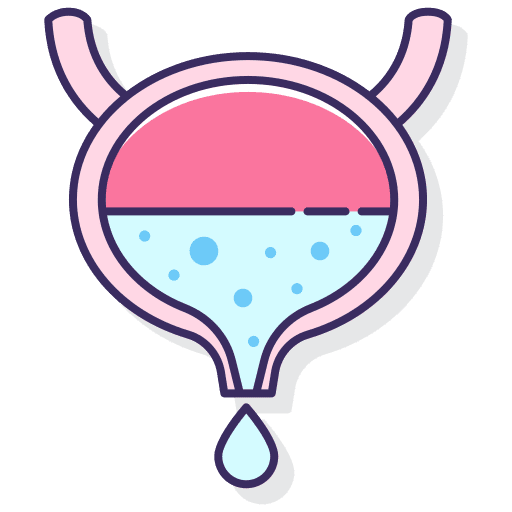 Bladder medical bladder health icon