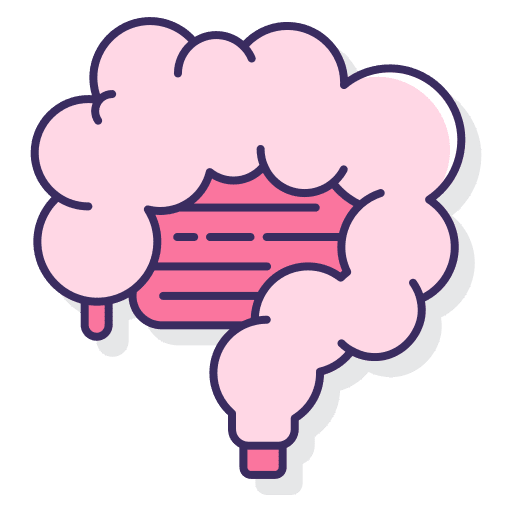 Digestion human body healthcare appendix icon