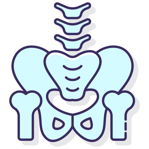 Pelvis hip bones pelvis icon