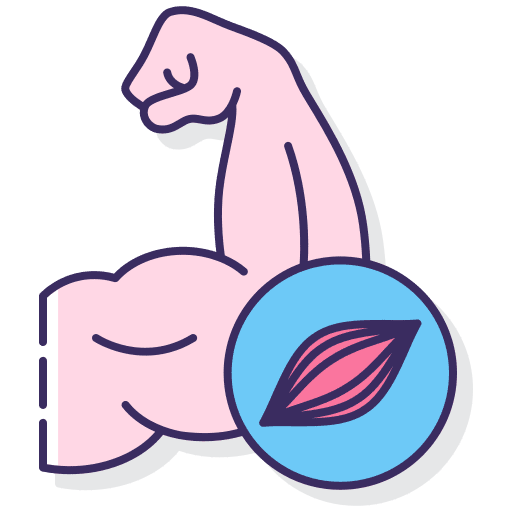 Muscular body parts strong medical icon
